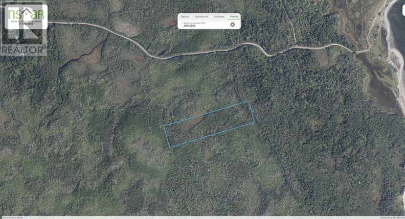 40  Acre Lot Conrod Beach Road — photo 39 of 40