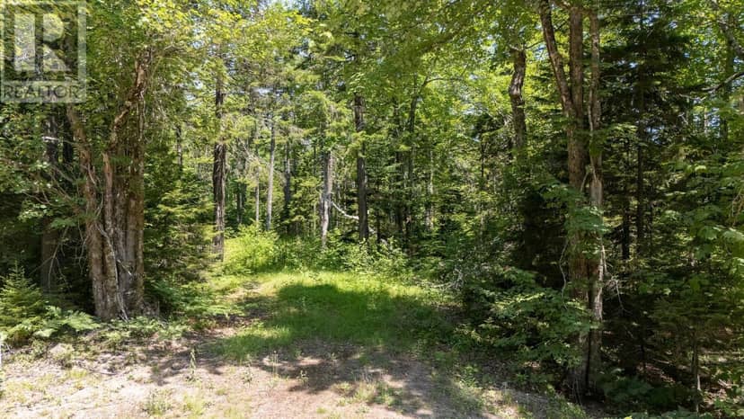 Lot 116 Village Road — photo 18 of 26