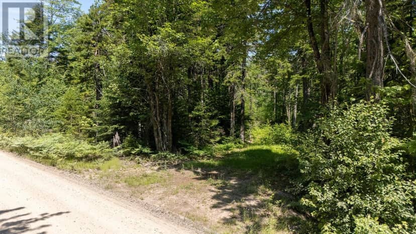 Lot 116 Village Road — photo 19 of 26