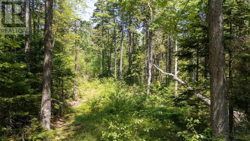 Lot 116 Village Road — photo 20 of 26