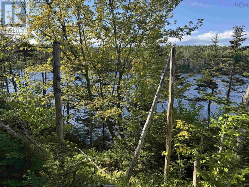 Lot Highway 206, Arichat, photo 5