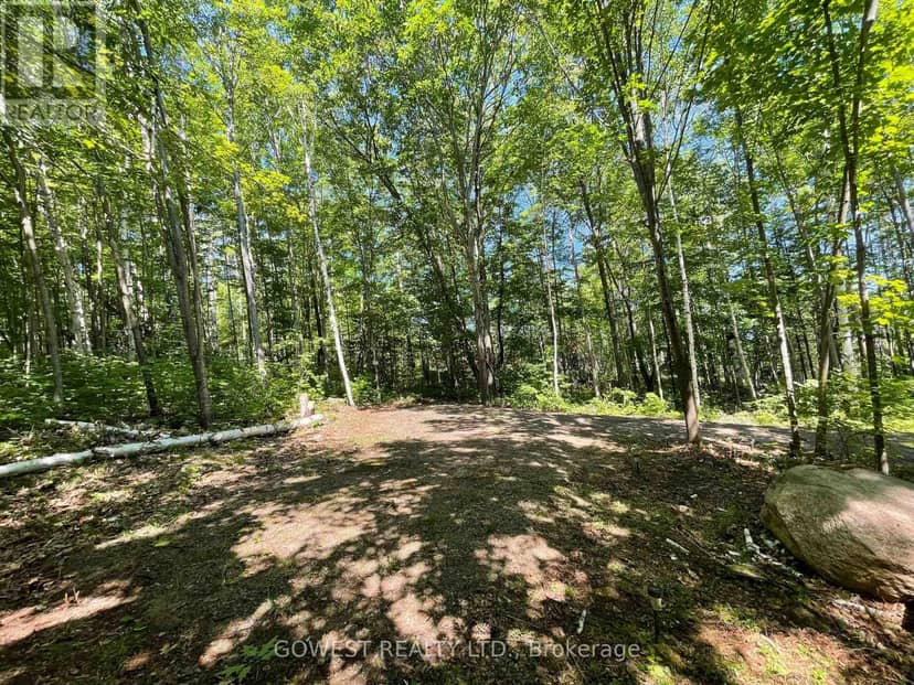 692 Mitchell Road, Madawaska Valley, photo 4