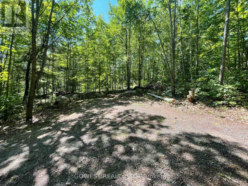 692 Mitchell Road, Madawaska Valley, photo 5