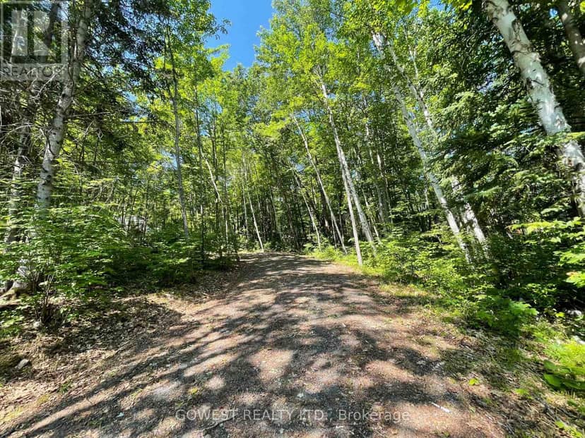 692 Mitchell Road, Madawaska Valley, photo 6