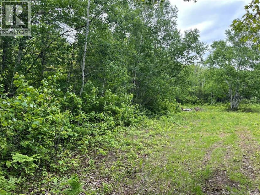 1446 Chatillon, Maisonnette, photo 3