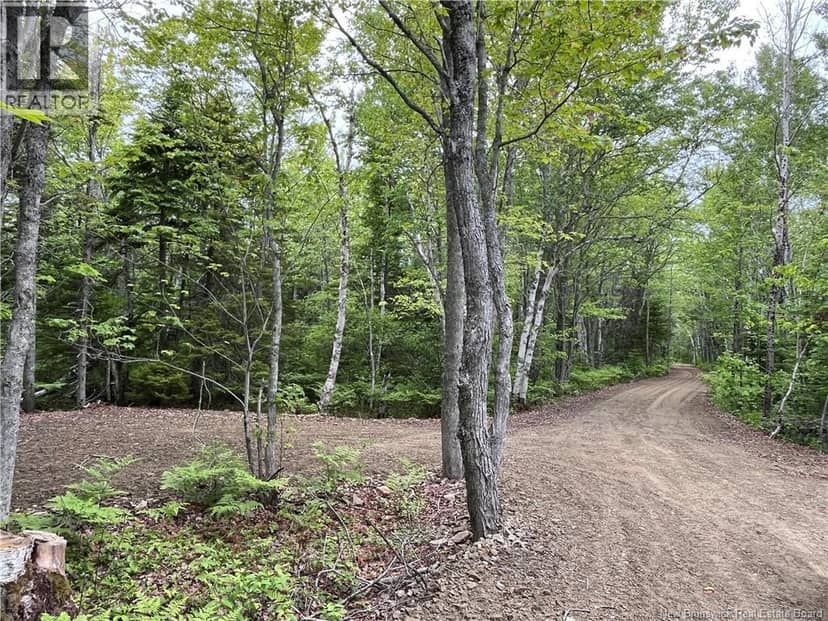 1446 Chatillon, Maisonnette, photo 4