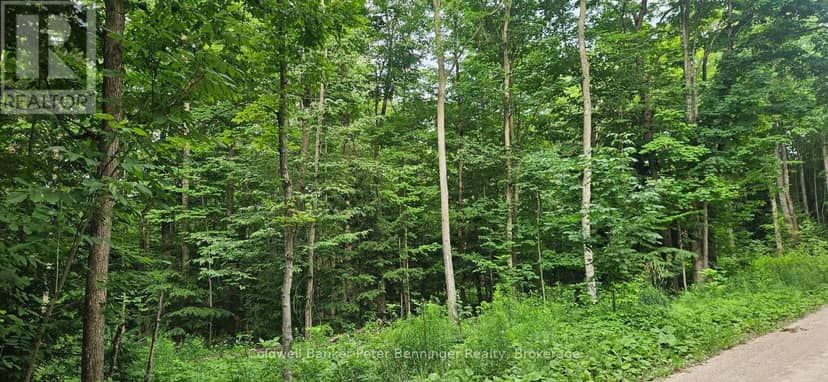 Lot 6 Concession 12 Ndr Bentinck — photo 3 of 3