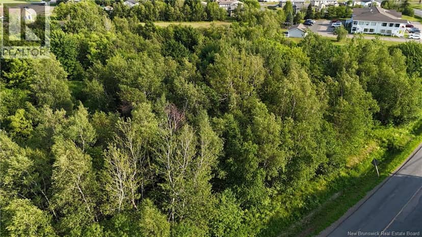 1.46 acre rue Luce — photo 7 of 8
