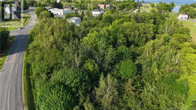 1.46 acre rue Luce — photo 4 of 8
