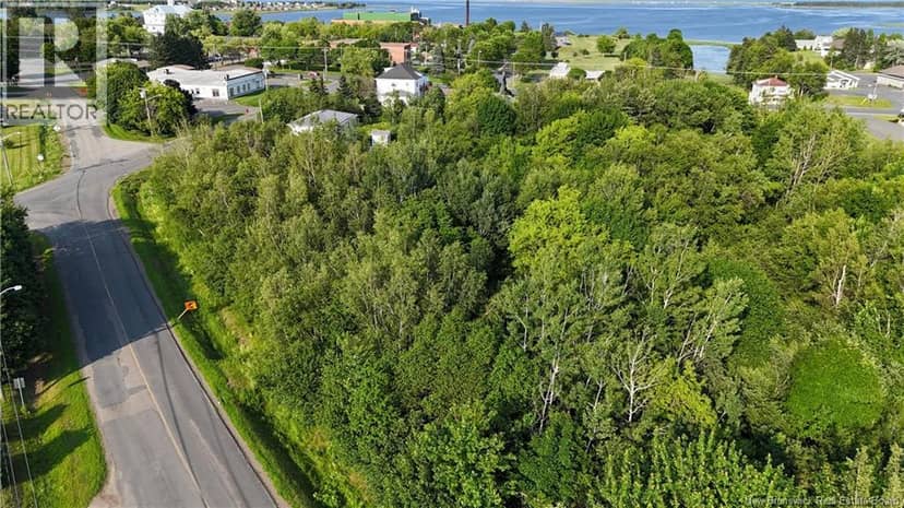 1.46 acre rue Luce — photo 2 of 8