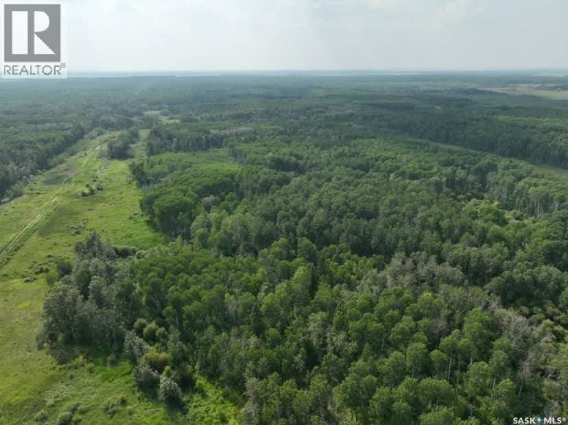 76 acre Hunters Retreat land — photo 18 of 33
