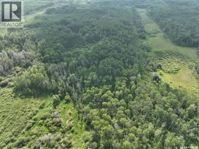 76 acre Hunters Retreat land — photo 31 of 33