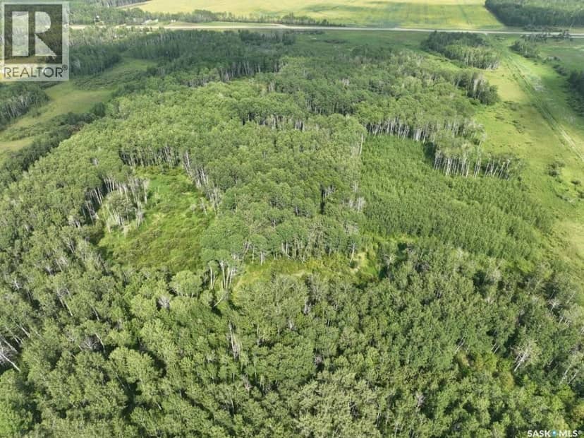 76 acre Hunters Retreat land, Hudson Bay, photo 7