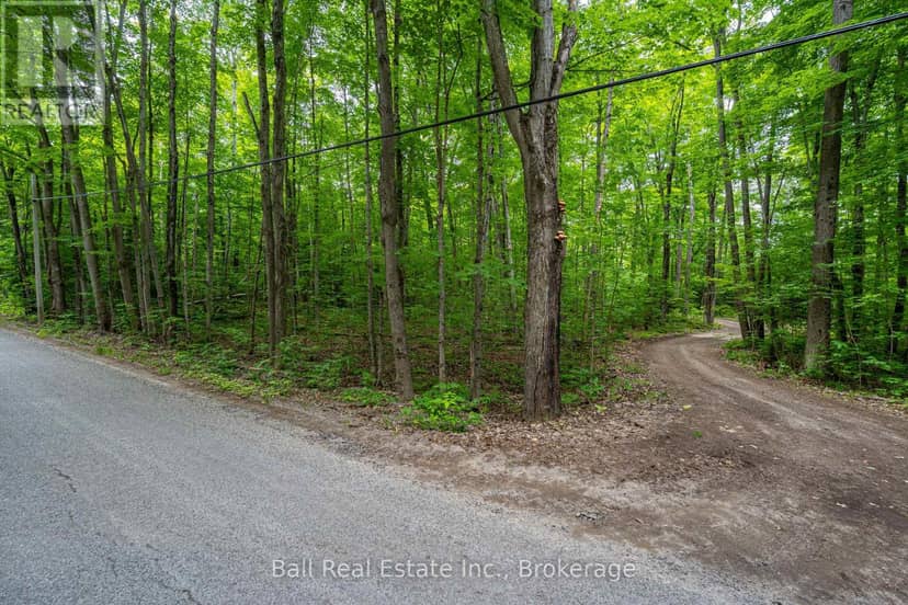 0 Mill Line Road — photo 11 of 19