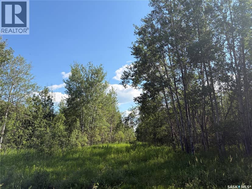 Lot 4 Lakeside Acreages, Delaronde Lake, photo 5