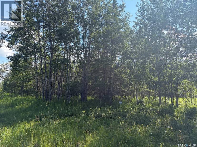 Lot 4 Lakeside Acreages, Delaronde Lake, photo 6