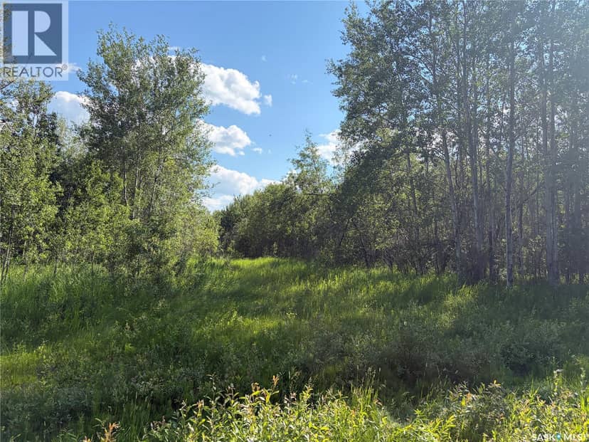 Lot 4 Lakeside Acreages, Delaronde Lake, photo 2