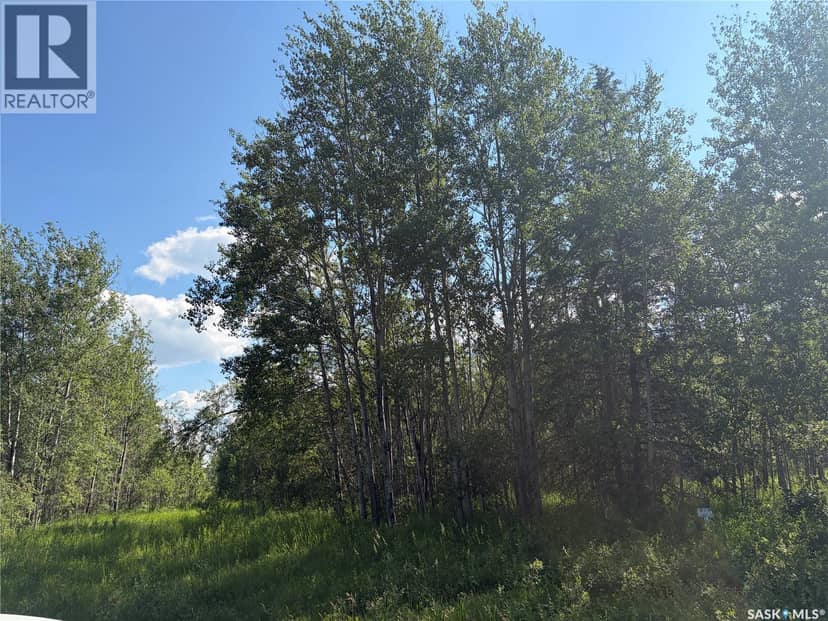 Lot 4 Lakeside Acreages, Delaronde Lake, photo 4