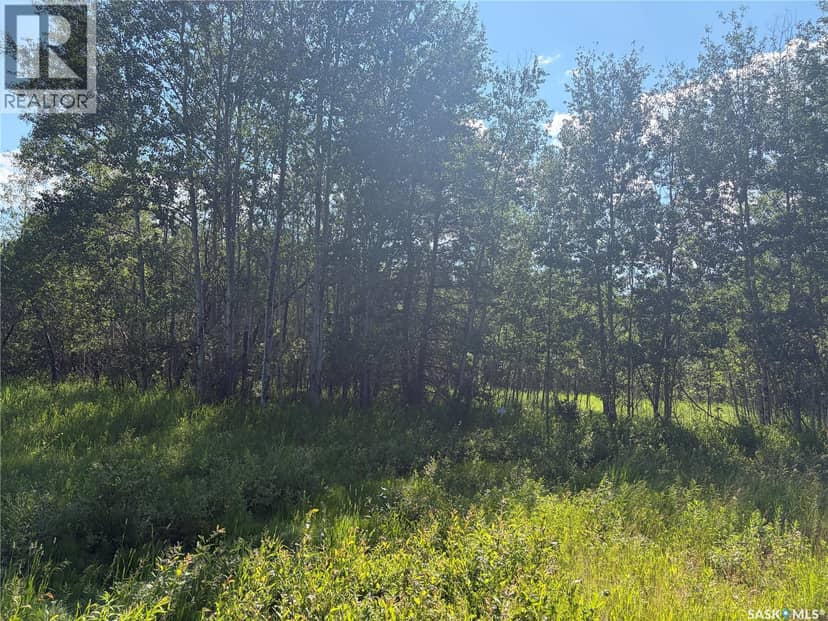 Lot 4 Lakeside Acreages, Delaronde Lake, photo 3