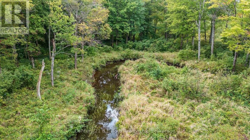 Lot 20 Beiers Road — photo 13 of 19