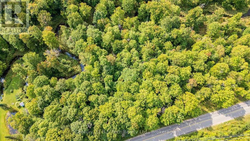 1233 Beiers Rd, Gravenhurst, photo 4
