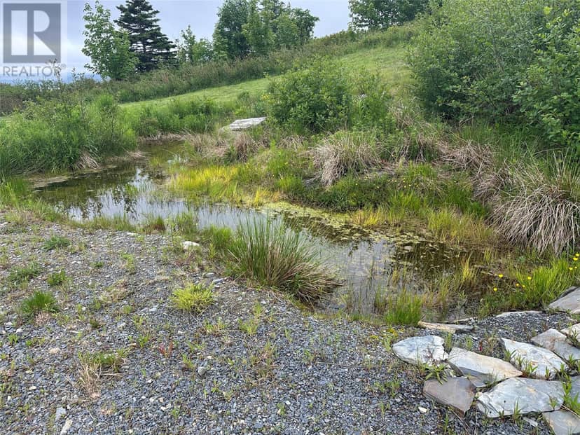 71 Flatrock Road — photo 3 of 20
