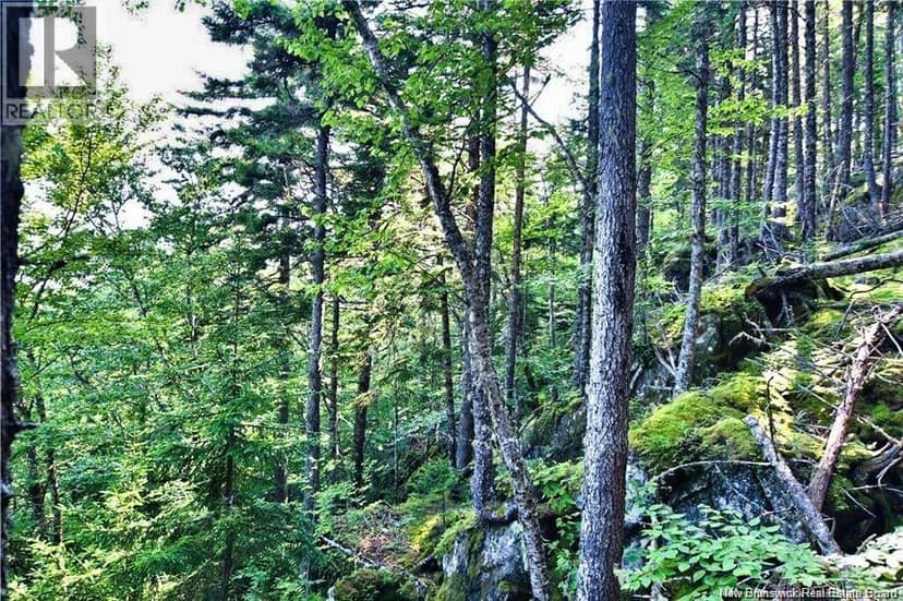 Lot 85-59 Bayview Drive, Wilsons Beach, photo 7