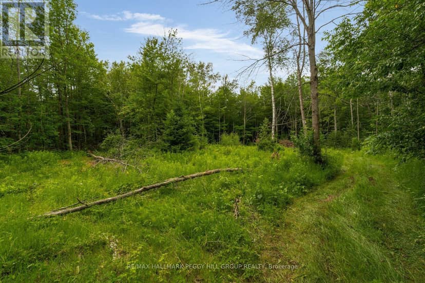 3664 Hogback Road — photo 10 of 14