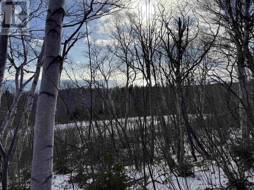 Cabot Trail — photo 20 of 26