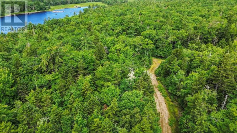 Lot 29 Boutilier Branch Road — photo 3 of 16