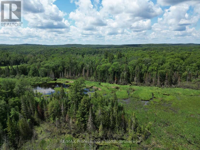 1419 Clement Lake Road, Highlands East, photo 3