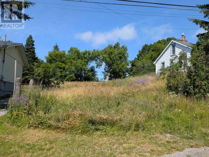 20 Shaw Street — photo 2 of 7