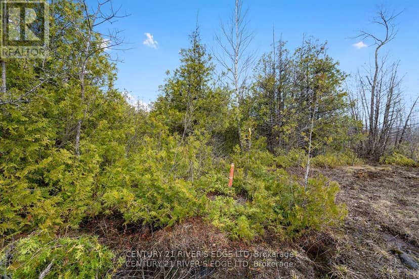 308 Forbes Road — photo 18 of 25