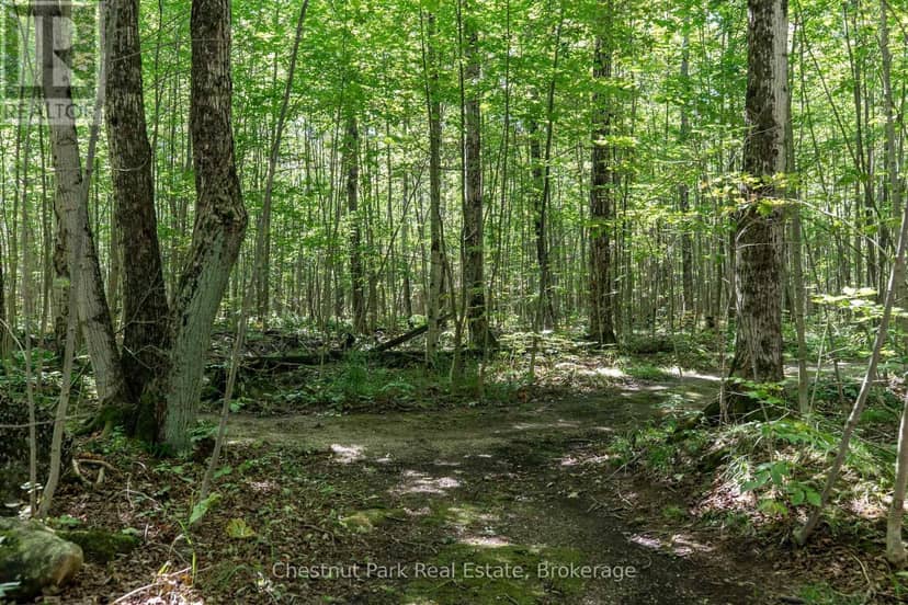 89 Tammys Cove Road — photo 12 of 40