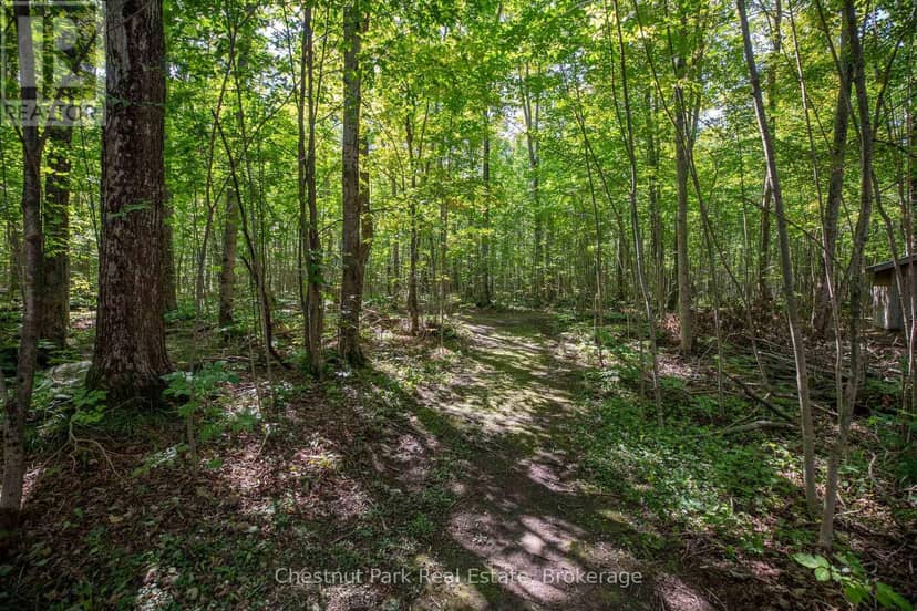 89 Tammys Cove Road — photo 9 of 40