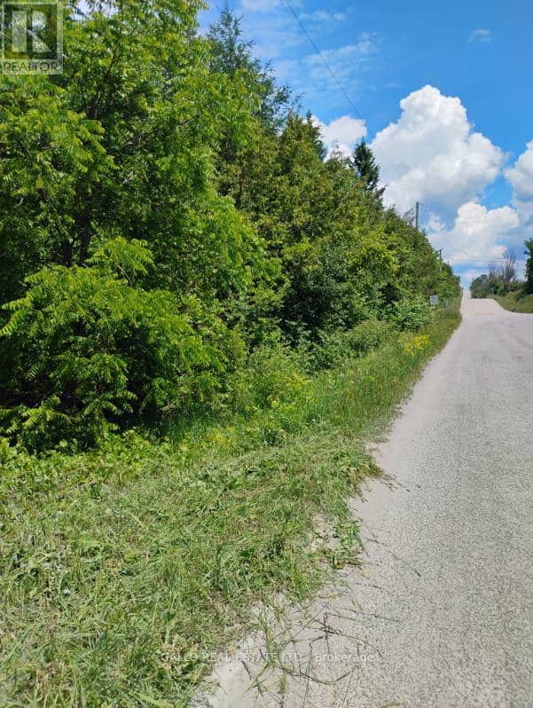 Lot 78 South Mountain Road, Kawartha Lakes, photo 5