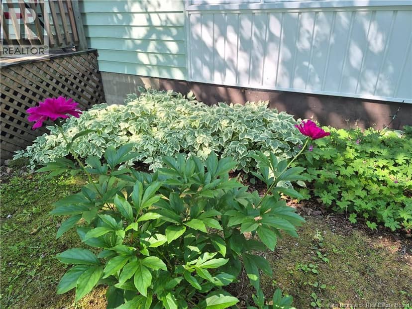 509 Rue Francois, Petit-Rocher, photo 8