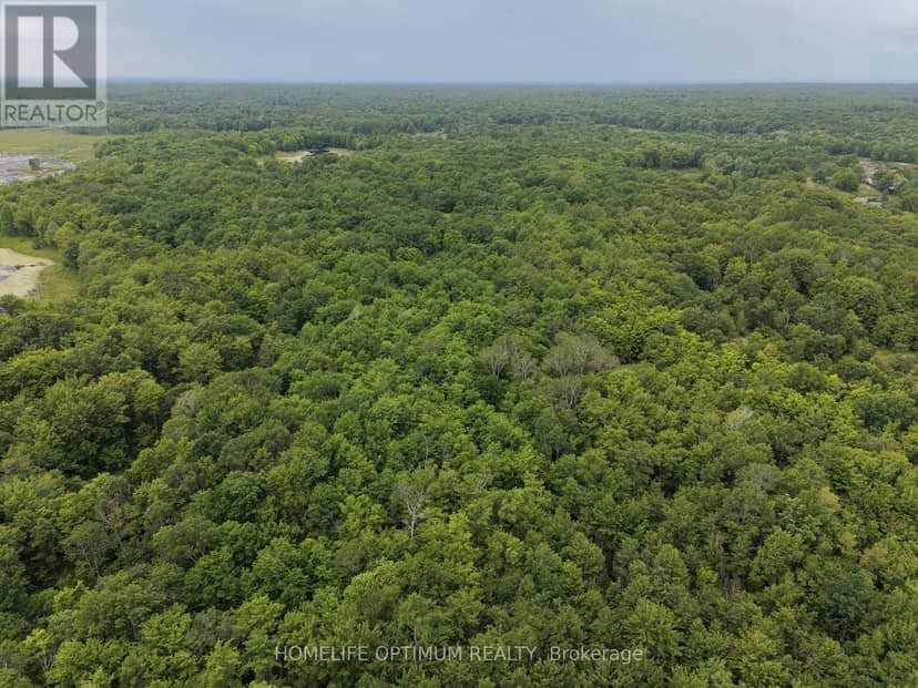 Pt Lt 20 Con 13 Hinchinbrooke, Frontenac, photo 8