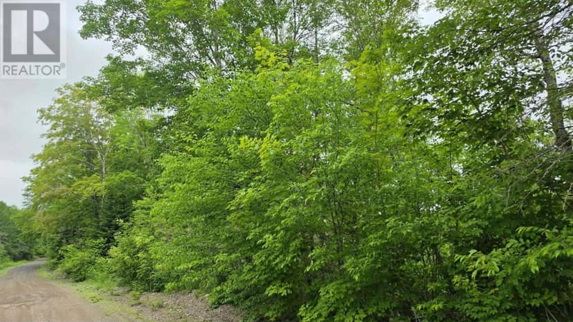 Lot2-1 Ohio East Side Road, Upper Ohio, photo 4