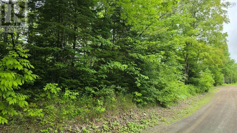 Lot2-1 Ohio East Side Road, Upper Ohio, photo 2