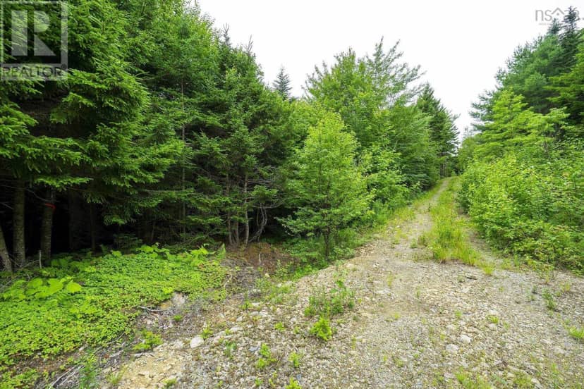 Lot 4 Highway 1 — photo 39 of 40