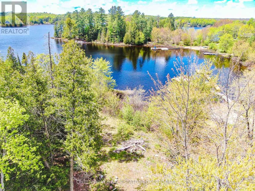 139 Gibson Bay Road, Whitestone, photo 4