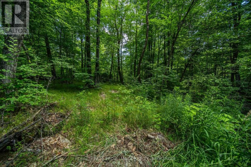 Lot 18 Part 1 Townline Road — photo 10 of 11