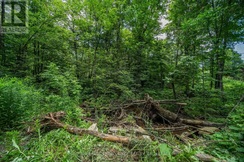Lot 18 Part 1 Townline Road — photo 11 of 11