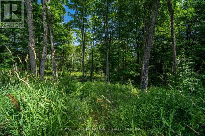 Lot 18 Part 1 Townline Road, Frontenac, photo 7