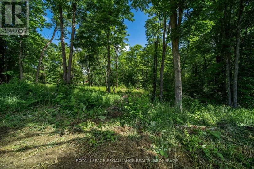Lot 18 Part 1 Townline Road, Frontenac, photo 8