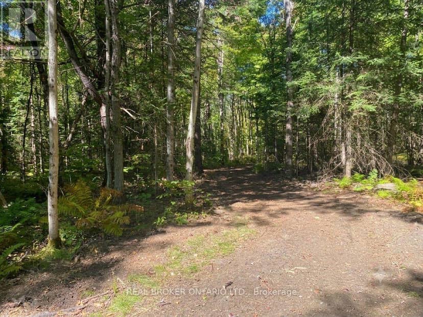 1248 Beiers Road — photo 5 of 13