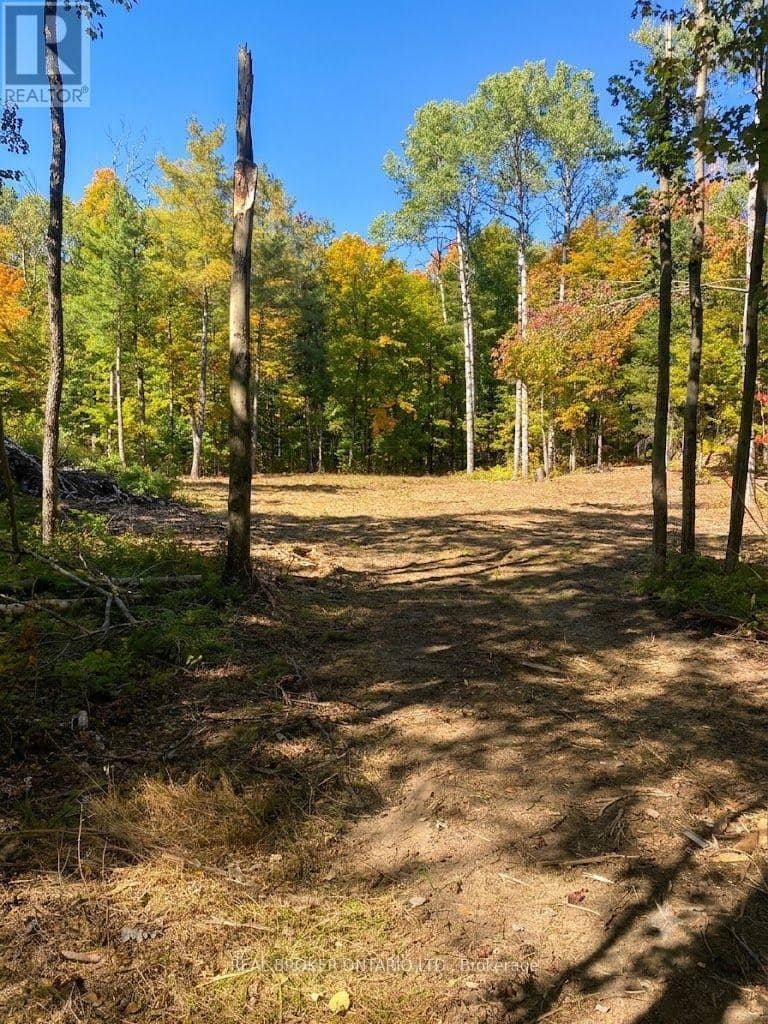 1248 Beiers Road — photo 4 of 13