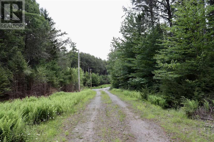 Roseway Drive — photo 26 of 28
