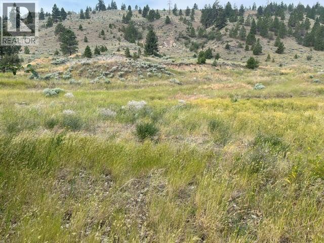 1129 Midday Valley Road, Merritt, photo 2